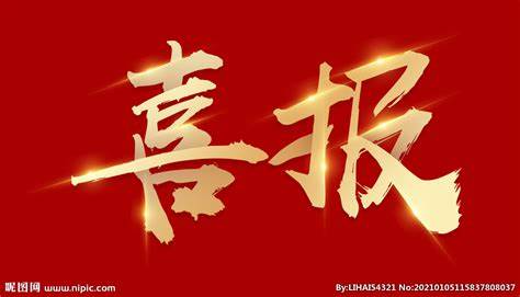被中国食品工业协会粽子行业委员会评为“粽子产品特等奖”